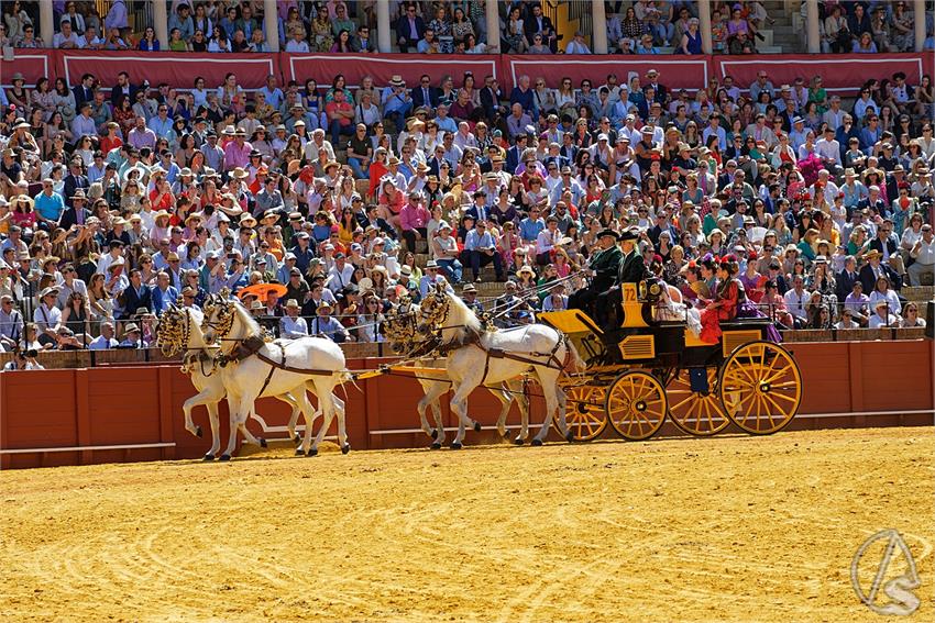 fjmontiel_38_Exhibicion_Enganches_Maestranza_Sevilla_2024_DSC_5071_DxO