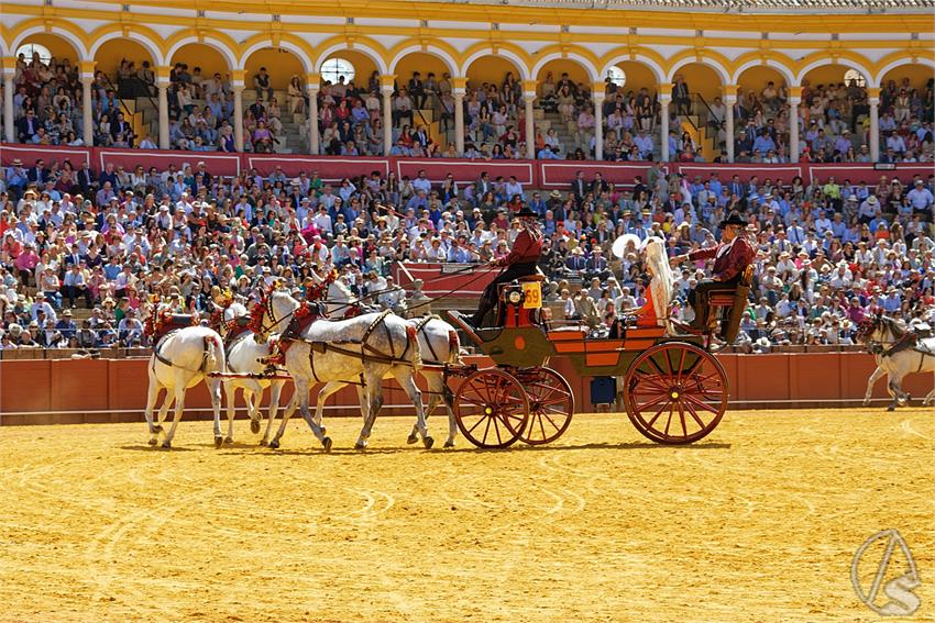 fjmontiel_38_Exhibicion_Enganches_Maestranza_Sevilla_2024_DSC_5072_DxO