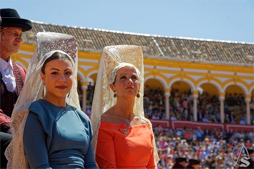 fjmontiel_38_Exhibicion_Enganches_Maestranza_Sevilla_2024_DSC_5084_DxO