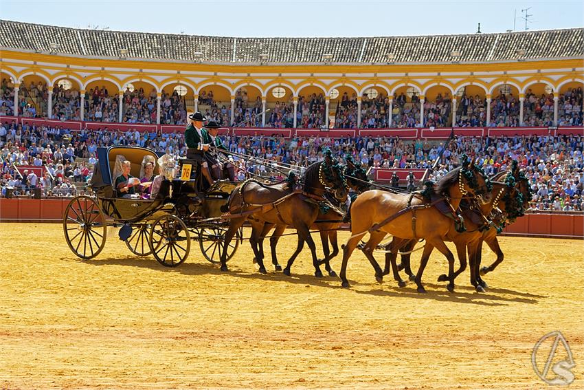 fjmontiel_38_Exhibicion_Enganches_Maestranza_Sevilla_2024_DSC_5087_DxO