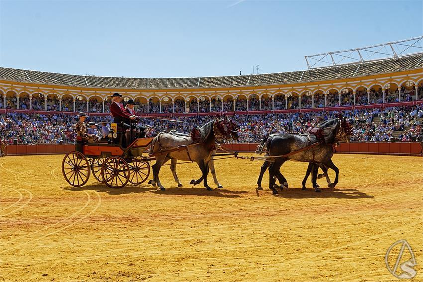 fjmontiel_38_Exhibicion_Enganches_Maestranza_Sevilla_2024_DSC_5093_DxO