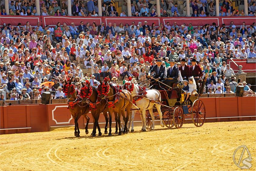 fjmontiel_38_Exhibicion_Enganches_Maestranza_Sevilla_2024_DSC_5094_DxO