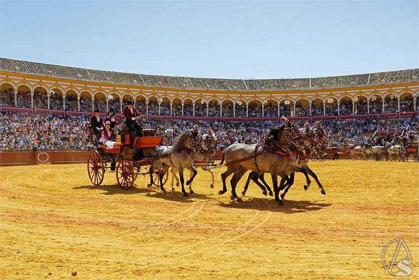 fjmontiel_38_Exhibicion_Enganches_Maestranza_Sevilla_2024_DSC_5097_DxO