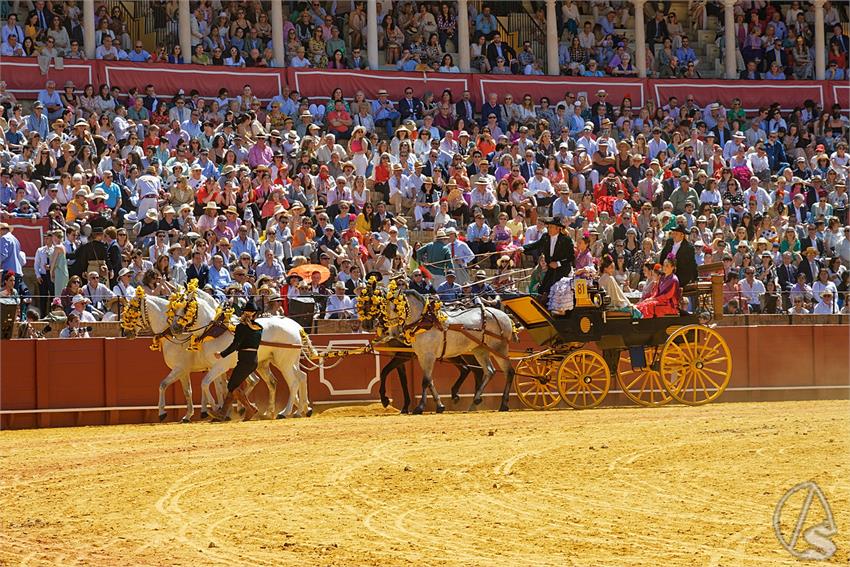 fjmontiel_38_Exhibicion_Enganches_Maestranza_Sevilla_2024_DSC_5098_DxO