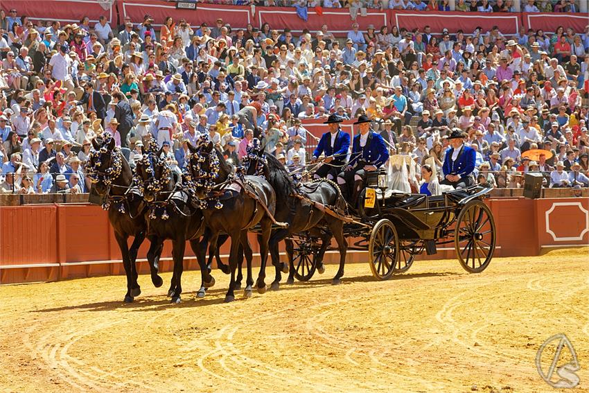 fjmontiel_38_Exhibicion_Enganches_Maestranza_Sevilla_2024_DSC_5103_DxO