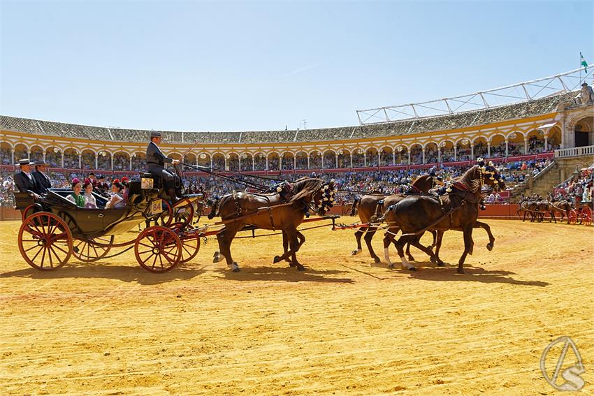 fjmontiel_38_Exhibicion_Enganches_Maestranza_Sevilla_2024_DSC_5112_DxO