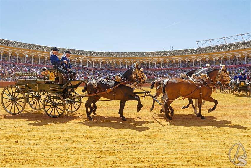 fjmontiel_38_Exhibicion_Enganches_Maestranza_Sevilla_2024_DSC_5114_DxO