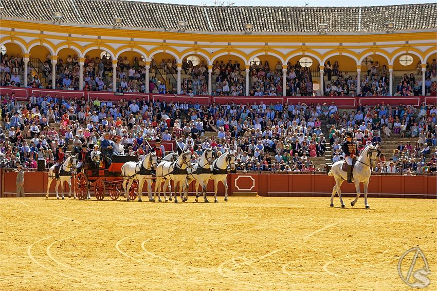 fjmontiel_38_Exhibicion_Enganches_Maestranza_Sevilla_2024_DSC_5121_DxO