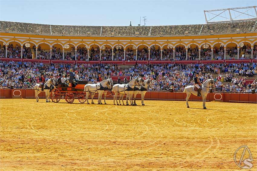 fjmontiel_38_Exhibicion_Enganches_Maestranza_Sevilla_2024_DSC_5122_DxO