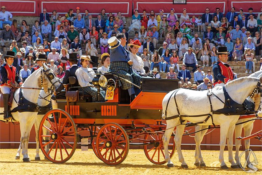 fjmontiel_38_Exhibicion_Enganches_Maestranza_Sevilla_2024_DSC_5123_DxO