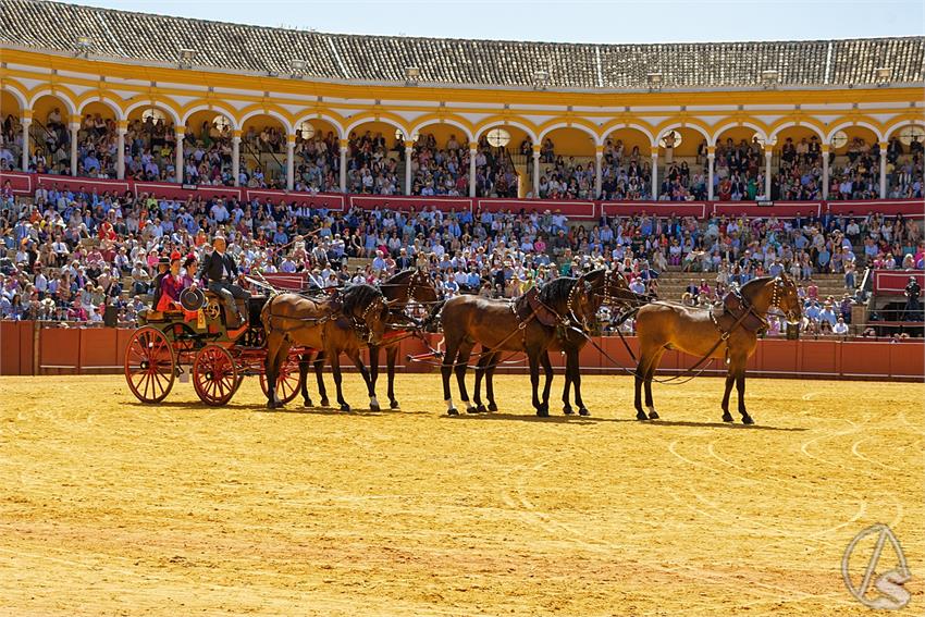 fjmontiel_38_Exhibicion_Enganches_Maestranza_Sevilla_2024_DSC_5126_DxO