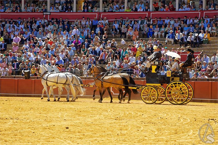 fjmontiel_38_Exhibicion_Enganches_Maestranza_Sevilla_2024_DSC_5128_DxO