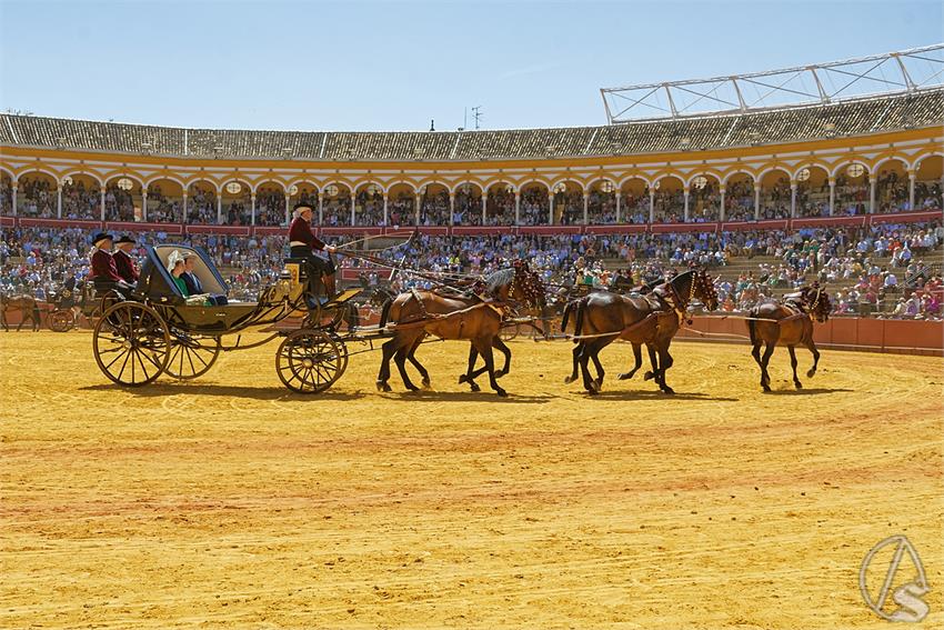 fjmontiel_38_Exhibicion_Enganches_Maestranza_Sevilla_2024_DSC_5144_DxO