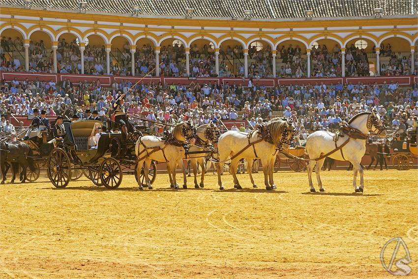 fjmontiel_38_Exhibicion_Enganches_Maestranza_Sevilla_2024_DSC_5145_DxO