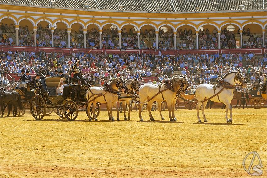 fjmontiel_38_Exhibicion_Enganches_Maestranza_Sevilla_2024_DSC_5145_DxO