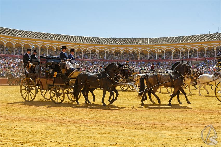 fjmontiel_38_Exhibicion_Enganches_Maestranza_Sevilla_2024_DSC_5146_DxO