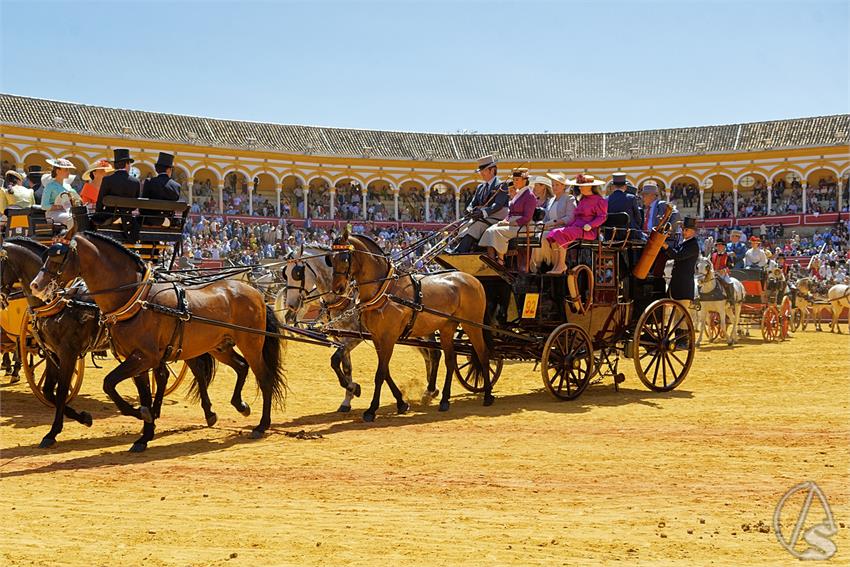 fjmontiel_38_Exhibicion_Enganches_Maestranza_Sevilla_2024_DSC_5168_DxO