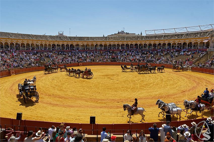 fjmontiel_38_Exhibicion_Enganches_Maestranza_Sevilla_2024_DSC_5170_DxO