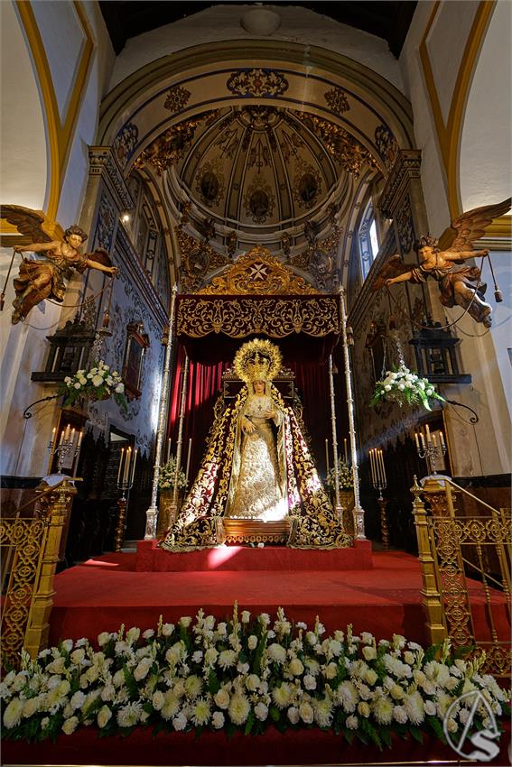 fjmontiel_BM_Amarguras_2023_DSC_3877_DxO