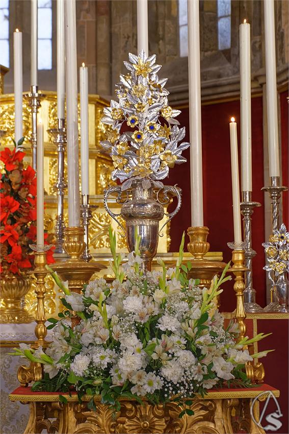 fjmontiel_BM_Amor_Resurreccion_2025_DSC_8611_DxO