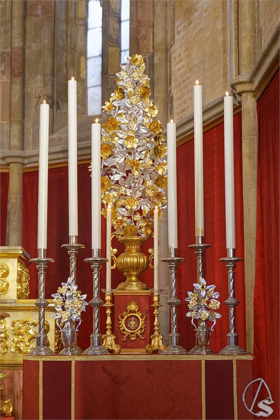 fjmontiel_BM_Amor_Resurreccion_2025_DSC_8612_DxO