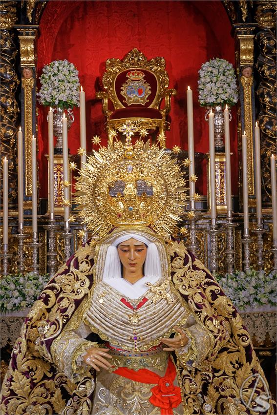 fjmontiel_BM_Caridad_Baratillo_2025_DSC_7758_DxO