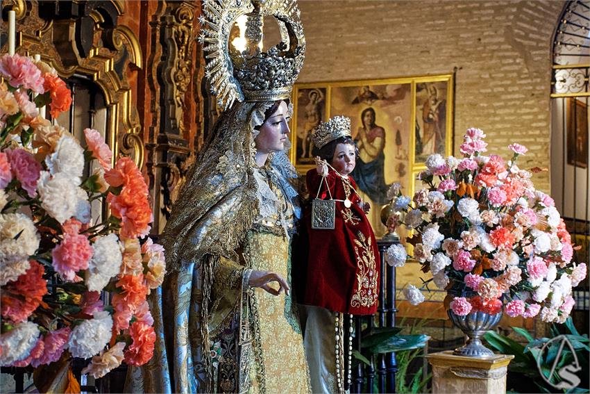 fjmontiel_BM_Carmen_Santa_Ana_2024_DSC_3202_DxO