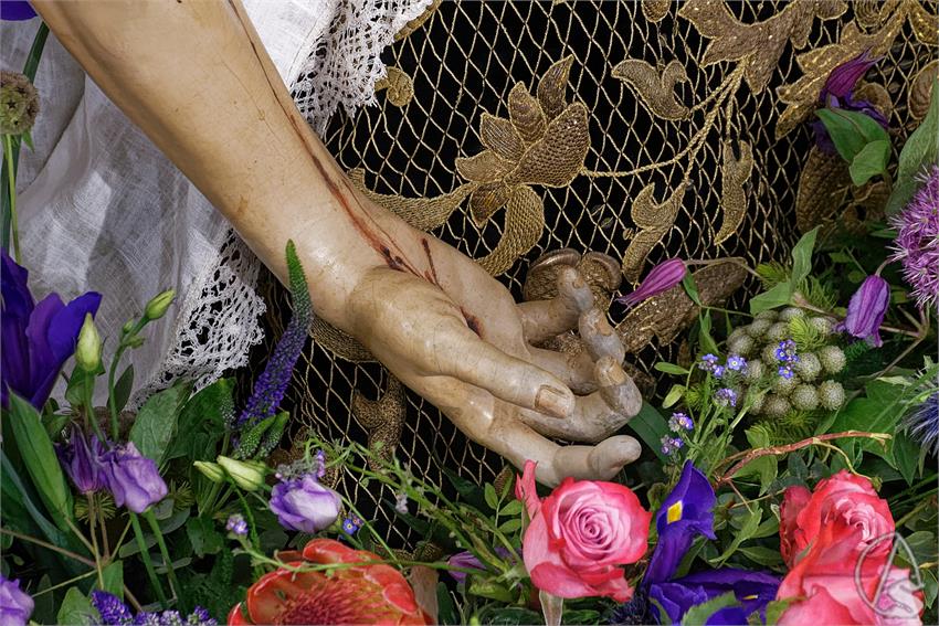 fjmontiel_BM_Dolores_Servitas_2026_DSC_3682_DxO