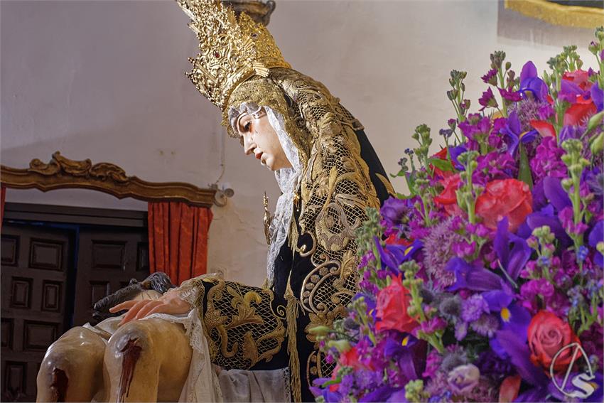 fjmontiel_BM_Dolores_Servitas_2026_DSC_3687_DxO