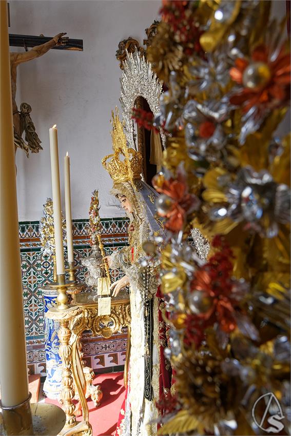 fjmontiel_BM_Mercedes_Puerta_Real_2026_DSC_3873_DxO