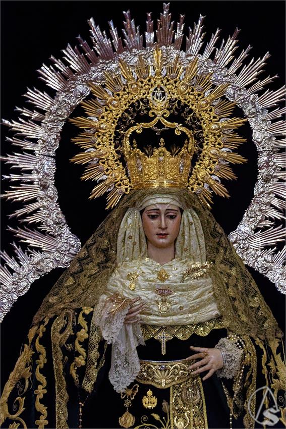 fjmontiel_BM_Palma_BP_Buen_Fin_2026_DSC_4868_DxO