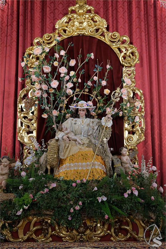 fjmontiel_BM_Pastora_Capuchinos_2024_DSC_6617_DxO