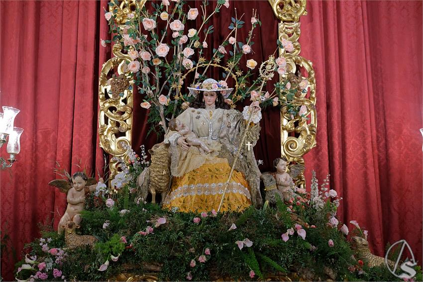 fjmontiel_BM_Pastora_Capuchinos_2024_DSC_6618_DxO