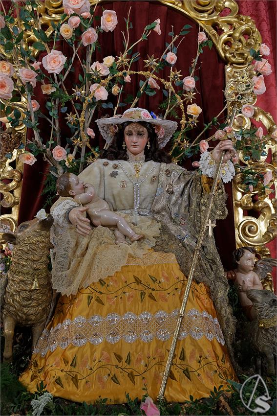 fjmontiel_BM_Pastora_Capuchinos_2024_DSC_6628_DxO
