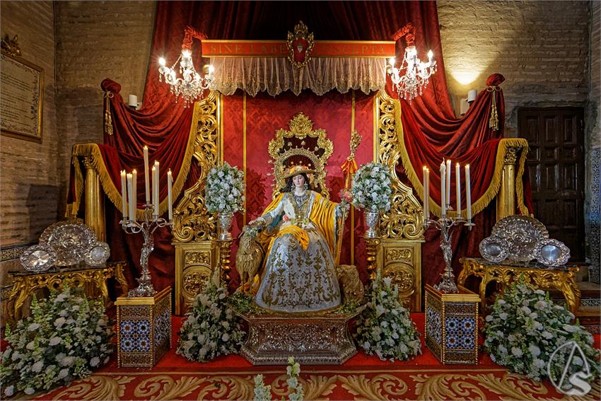 fjmontiel_BM_Pastora_Triana_2026_DSC_9145_DxO