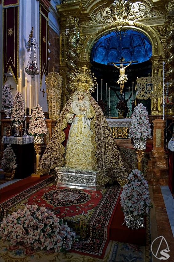 fjmontiel_BM_Patrocinio_Cachorro_2024_DSC_1566_DxO