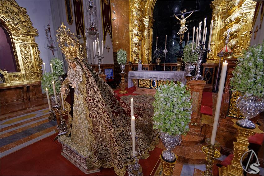 fjmontiel_BM_Patrocinio_VE_Cachorro_2025_DSC_4670_DxO