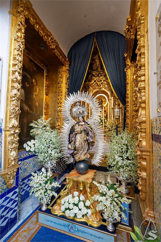 fjmontiel_BM_Pura_y_Limpia_2025_DSC_8280_DxO