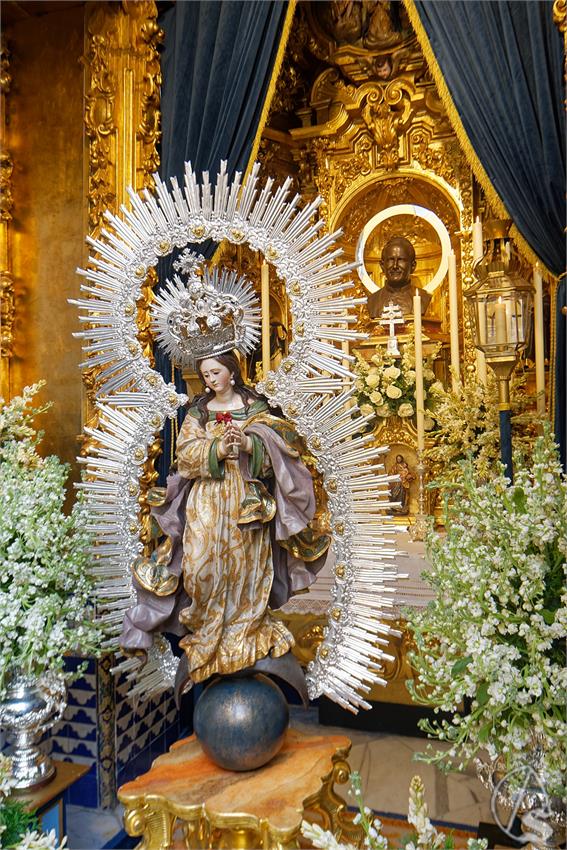 fjmontiel_BM_Pura_y_Limpia_2025_DSC_8282_DxO