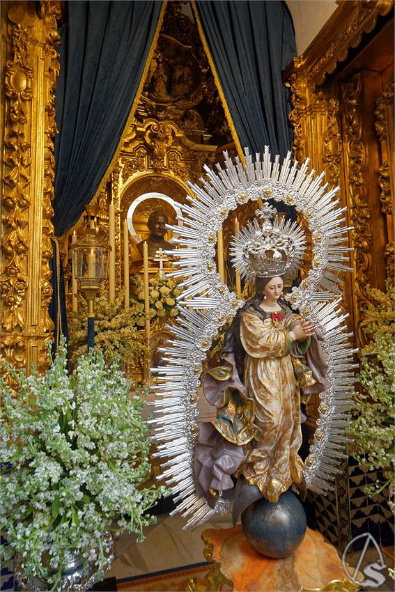 fjmontiel_BM_Pura_y_Limpia_2025_DSC_8283_DxO