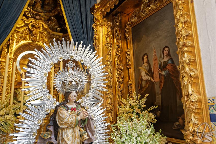 fjmontiel_BM_Pura_y_Limpia_2025_DSC_8284_DxO