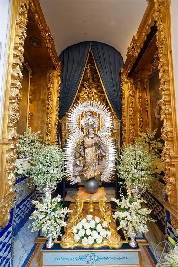 fjmontiel_BM_Pura_y_Limpia_2025_DSC_8285_DxO