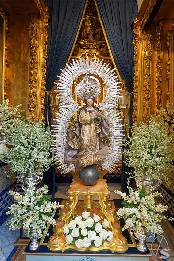 fjmontiel_BM_Pura_y_Limpia_2025_DSC_8286_DxO