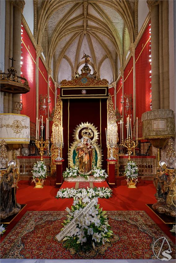 fjmontiel_BM_Reina_Todos_los_Santos_2025_DSC_5944_DxO