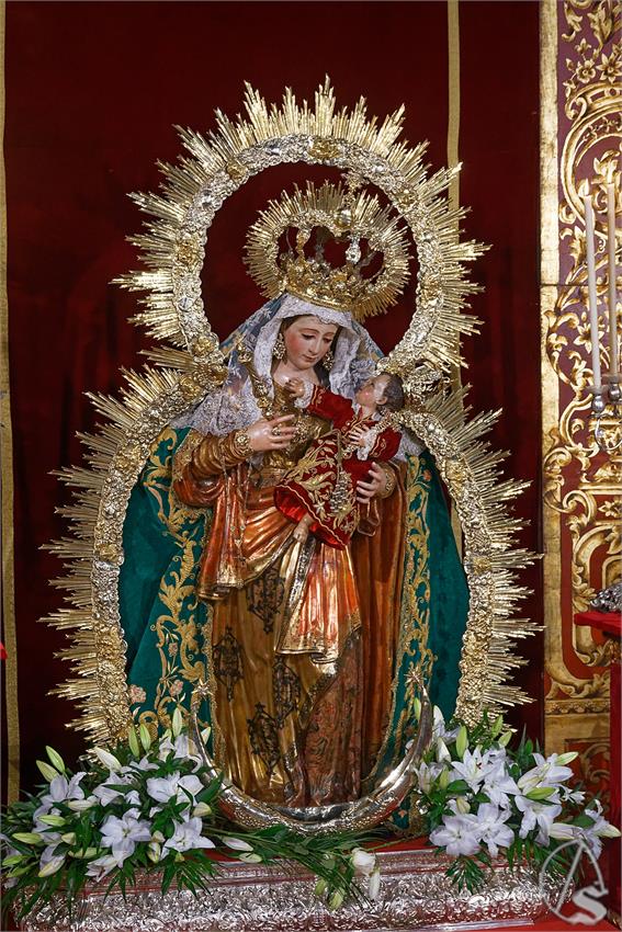 fjmontiel_BM_Reina_Todos_los_Santos_2025_DSC_5948_DxO