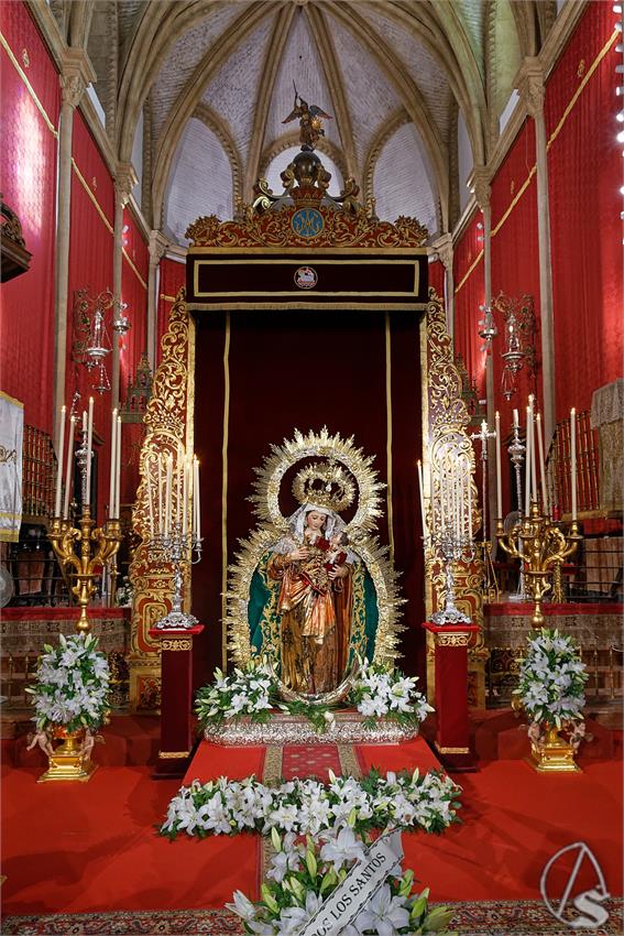 fjmontiel_BM_Reina_Todos_los_Santos_2025_DSC_5950_DxO