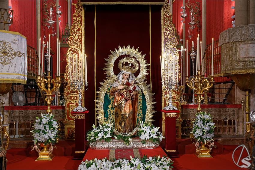 fjmontiel_BM_Reina_Todos_los_Santos_2025_DSC_5952_DxO