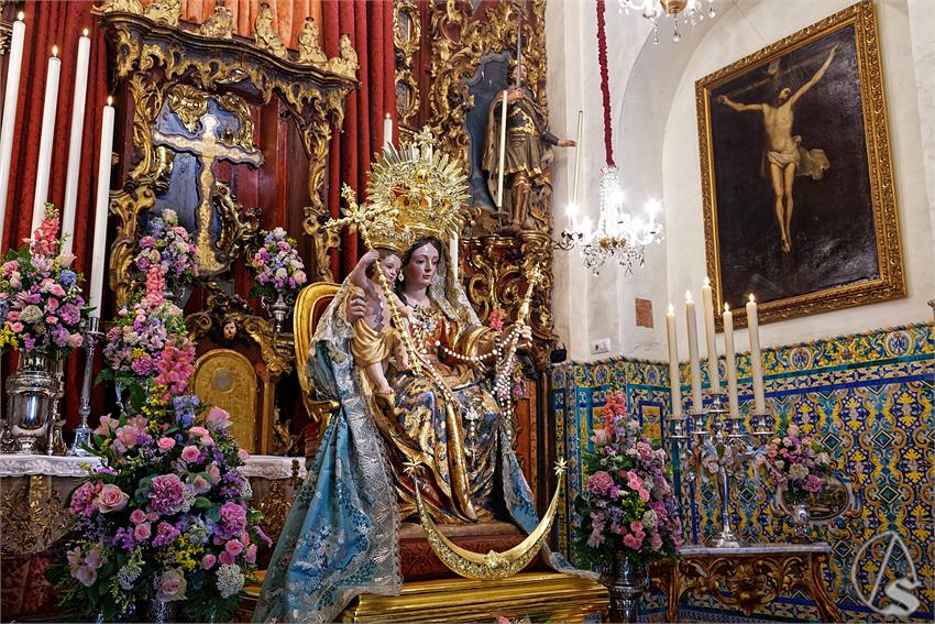 fjmontiel_BM_Rosario_Humeros_2025_DSC_9203_DxO