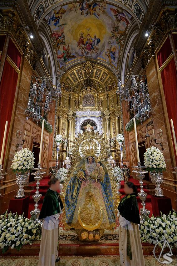 fjmontiel_BM_Rosario_Macarena_2026_DSC_3784_DxO