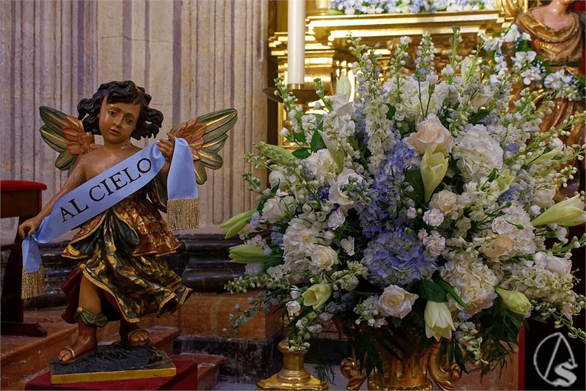 fjmontiel_BM_Socorro_Amor_2025_DSC_8190_DxO